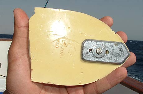 Khalid Gomaa holding a diving board shattered by giant barracuda teeth