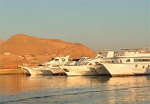Sport fishing boats in a Gulf of Suez marina