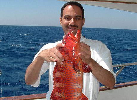 Hazim Gomaa with a Saddle Grouper (trolling) - Hurghada