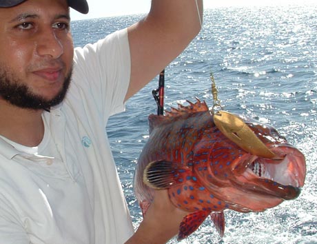 Mahmoud with a Saddle Grouper - Near Sharm El-Sheikh