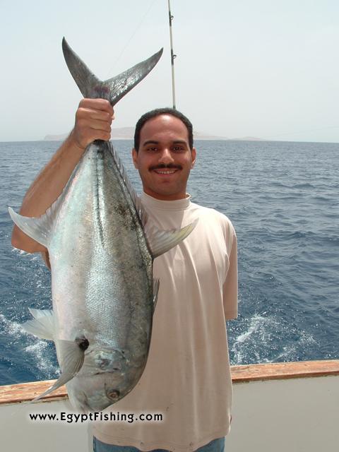 Egypt_Fishing_giant_travally_102.jpg