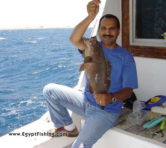 Handline fishing for Grouper in Egypt