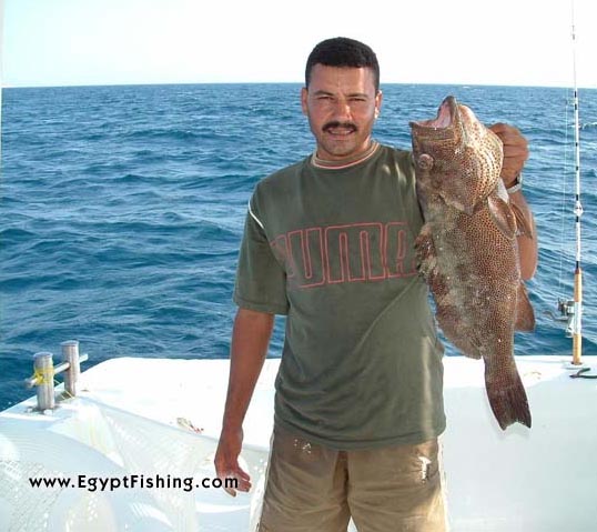 Handline Bottom fishing from Egyptian Fishing Boat in Hurghada