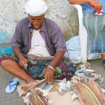 Yemen Fishing