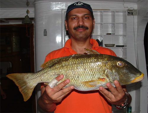 Saltwater fishing photo from Souther Egyptian Red Sea