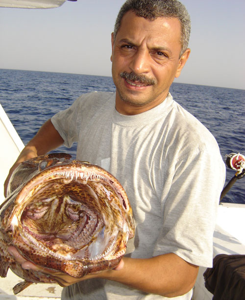 Bohar Snapper, Souther Egyptian Red Sea