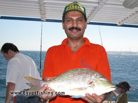 Picture of Fishing in Egypt for Emperor Fish (Lethrinus Nebulosus) Bottom fishing in Egypt
