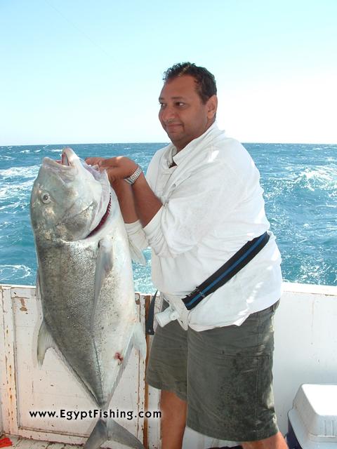 Photo of Caranx Ignobilis-Giant Trevally (GT) in Egypt: Saltwater Deep sea trolling