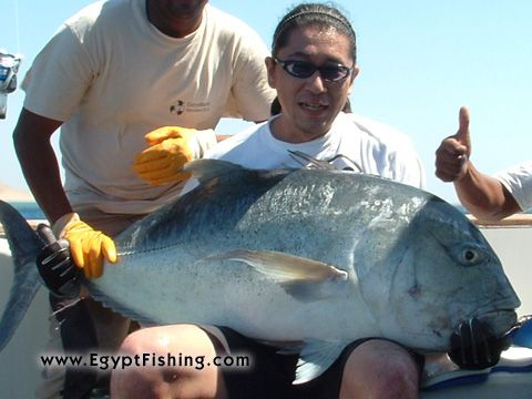 Photo of Caranx Ignobilis-Giant Trevally (GT) in Egypt: Poppering (surface casting) flyfishing