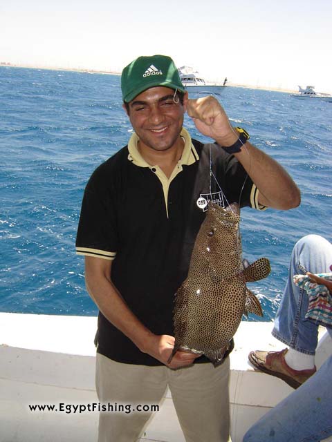 Grouper