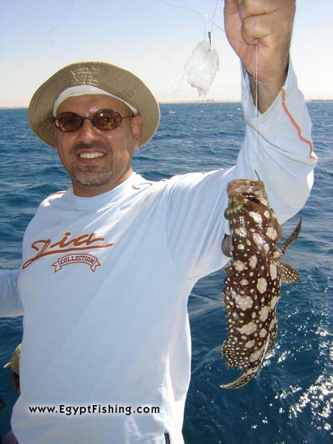 Grouper, bottom fishing with rod & reel from Egyptian boat