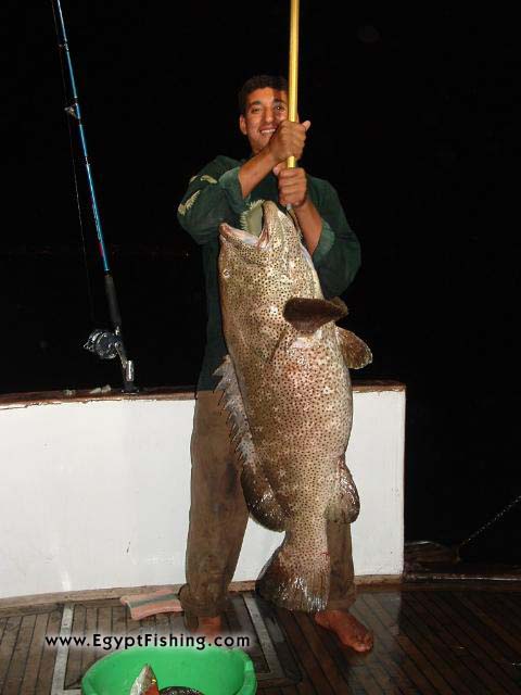 Deep sea night fishing with heavy handline, Red Sea - Hurghadaصيد الحداف في مياه البحر الأحمر 