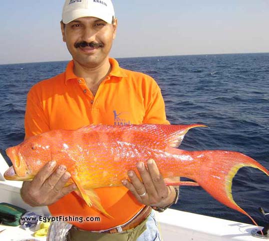 Egyptian fishing boat in the Red Sea سمكة الشريفة في خليج السويس