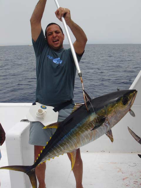 Red Sea Yellow-Fin Tuna,Deep Sea Trolling, Hurghada