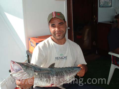 Wahoo, King Mackerel, King Fish