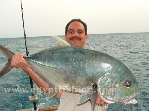 Image of Saltwater angling (Giant Trevally-Caranx Ignobilis): Red sea trolling