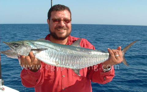 Wahoo, King Mackerel, King Fish