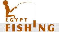 Egypt Fishing Banner