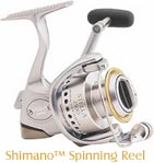 Shimano Stella Reel